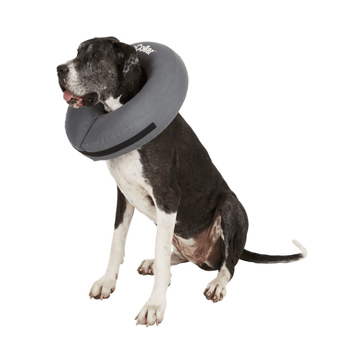 ZenPet ZenCollar Inflatable Recovery Dog & Cat Collar XXL | Kanu Pet