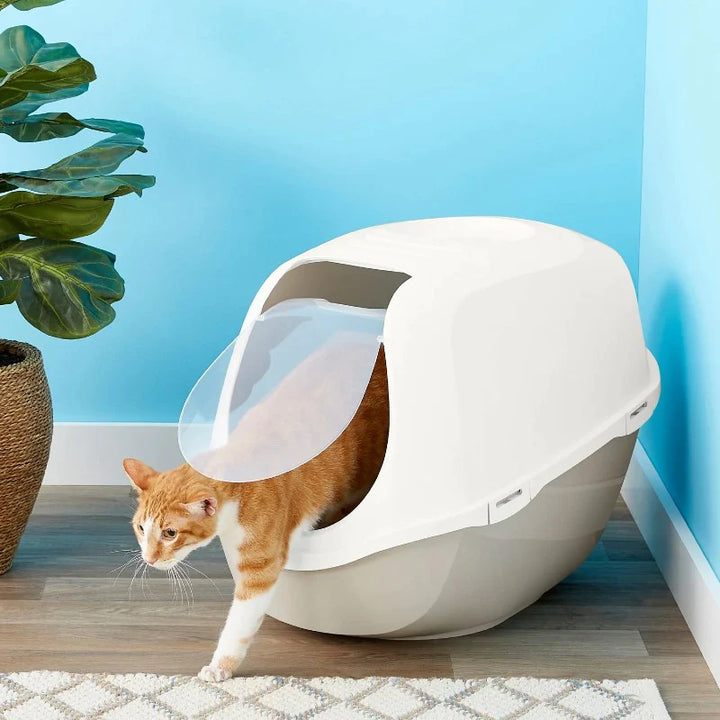 Moderna Smart Cat Litter Box | Kanu Pet