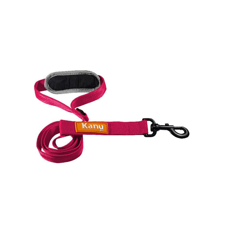 Kanu Walker Unique Fuchsia/Blue Dog Leash | Kanu Pet