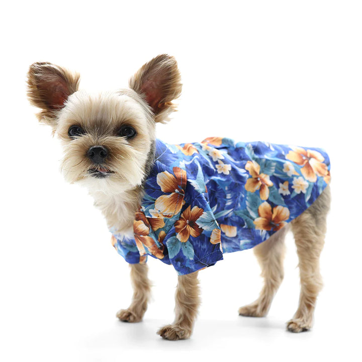  Dogo Pet Tropical Floral Shirt M Dogs Clothings | Kanu Pets