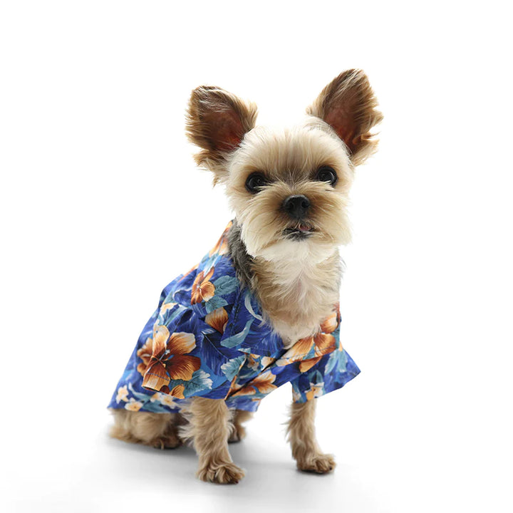  Dogo Pet Tropical Floral Shirt M Dogs Clothings | Kanu Pets