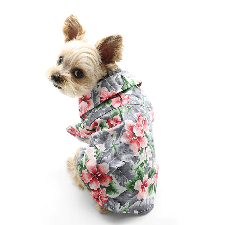  Dogo Pet Tropical Floral Shirt M Dogs Clothings | Kanu Pets