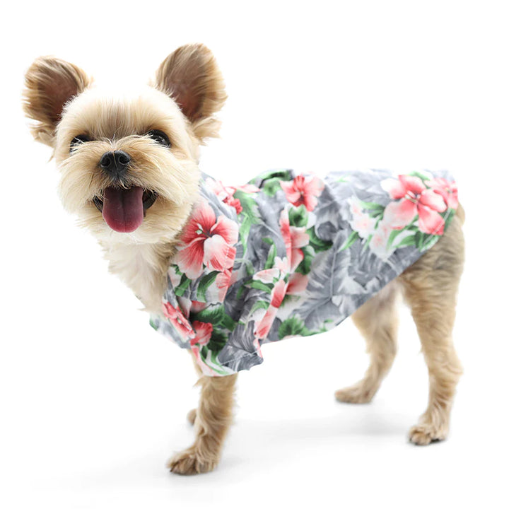  Dogo Pet Tropical Floral Shirt M Dogs Clothings | Kanu Pets