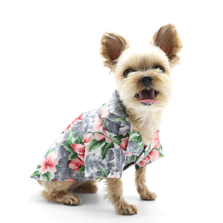  Dogo Pet Tropical Floral Shirt M Dogs Clothings | Kanu Pets