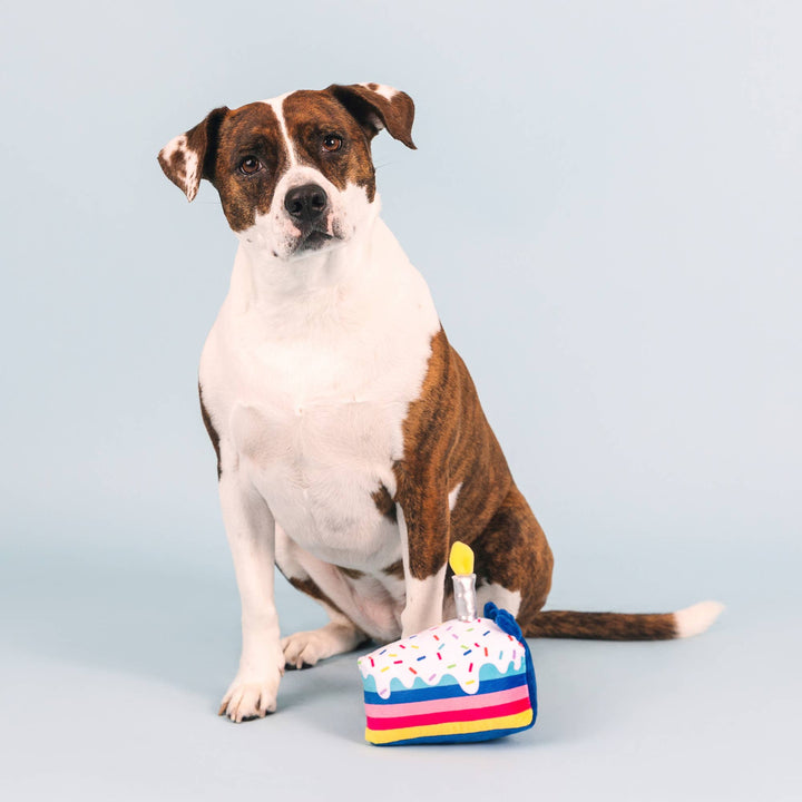 Petshop By Fringe Studio Cake It Easy Plush Dog Toy | Shop Online