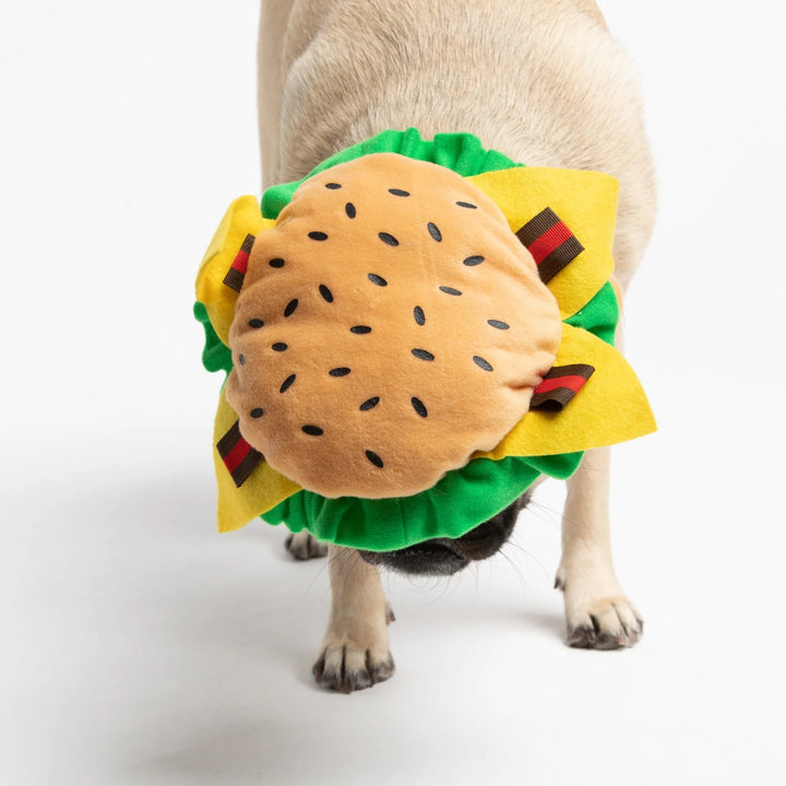 Silver Paw Burger Wig Dog Costume | Kanu Pets