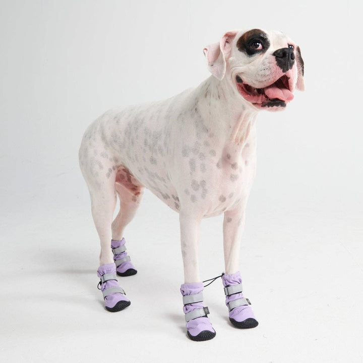 Spark Paws Flex Shell Water-resistant Lilac Dog Boots | Shop Now