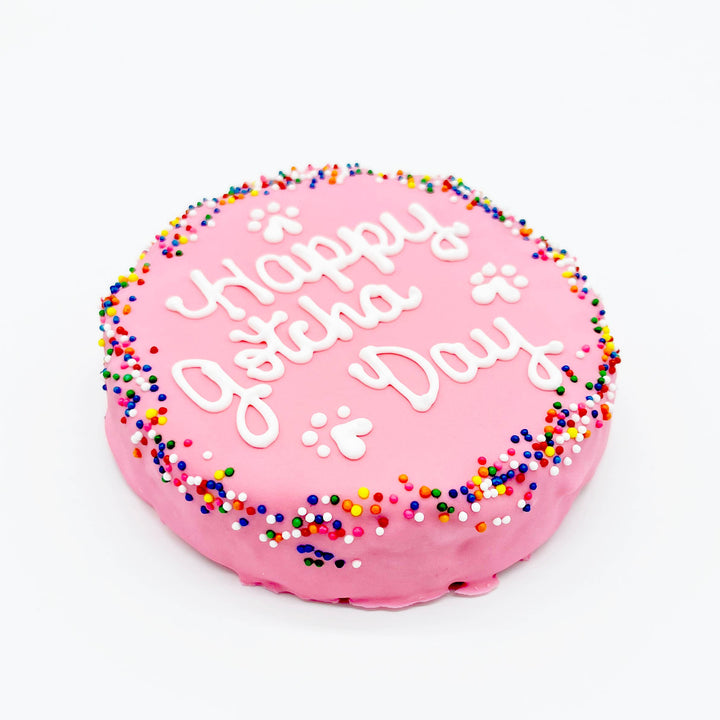 Furry Belly Bake Shop Rainbow Sprinkle Oat Dog Cake | Kanu Pet