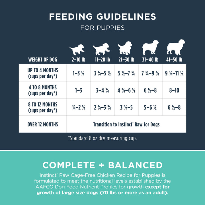 Raw Frozen Bites Cage-Free Chicken Recipe for Puppies 