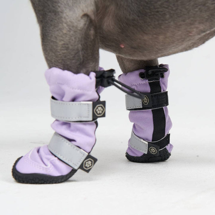 Spark Paws Flex Shell Water-resistant Lilac Dog Boots | Shop Now