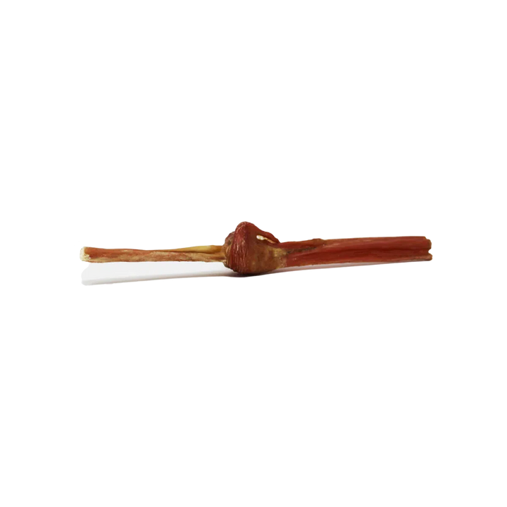 Home Range Jr Bully Stick Bladder Dog Treat | Kanu Pet