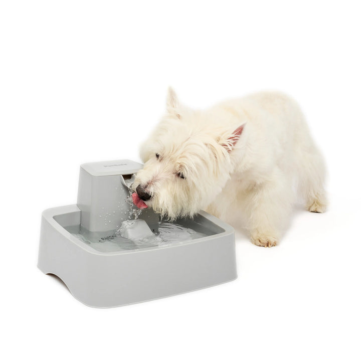 PetSafe Water Fountain Drinkwell 1 Gallon for Dogs & Cats | Kanu Pet