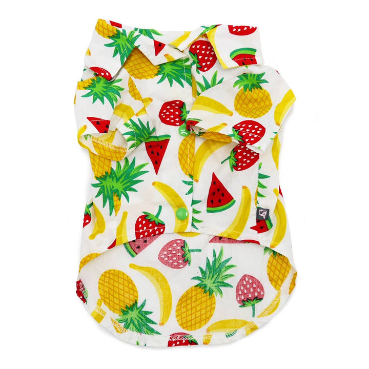 Dogo Pet Closed Out Item Fruitlicious Dog Shirt | Shop Online