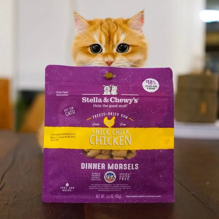 Stella & Chewys Chicken Freeze-Dried Raw Cat Food | Kanu Pet