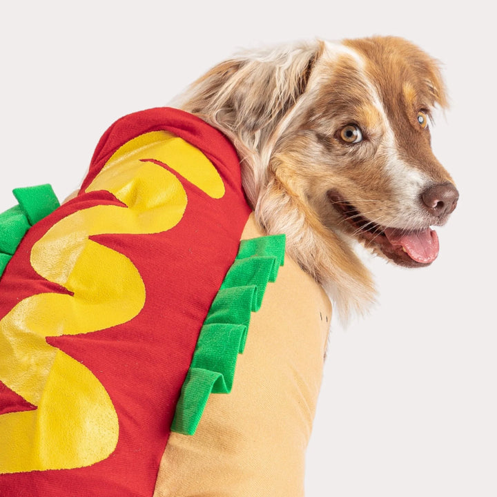 Silver Paw  Matching Human Hot Dog Vendor Costume | Kanu Pets