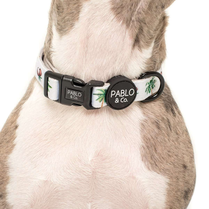 Pablo & Co. Coconut Island Dog Collar | Kanu Pet