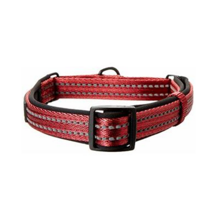 Alcott Martingale Red Dog Collar | Kanu Pet