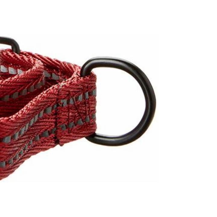 Alcott Martingale Red Dog Collar | Kanu Pet