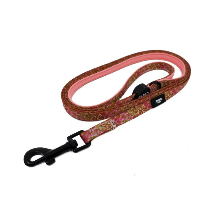 Pablo & Co. Cat Leash | Kanu Pet