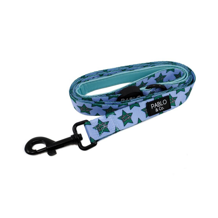 Pablo & Co. Cat Leash | Kanu Pet