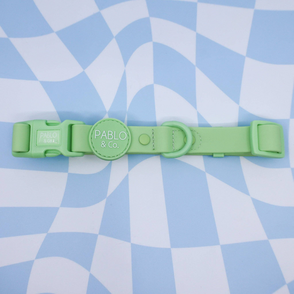 Pablo & Co. Waterproof Dog Collar | Kanu Pet