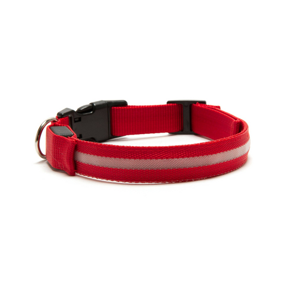 Furhaven LED Safety Light-Up Red Dog Collar | Kanu Pet
