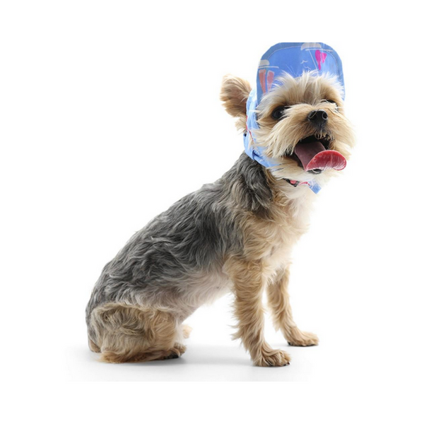 Dogo Pet Summer Beach Dog Hat | Kanu Pet