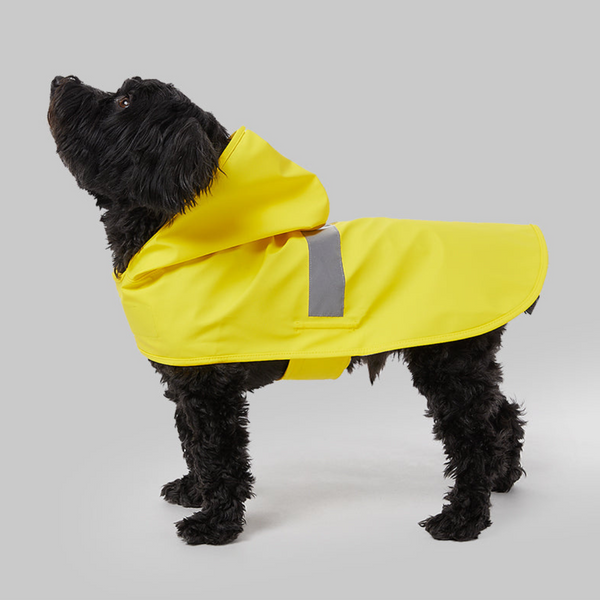 Doggiduds Dog Rain Coat | Kanu Pet