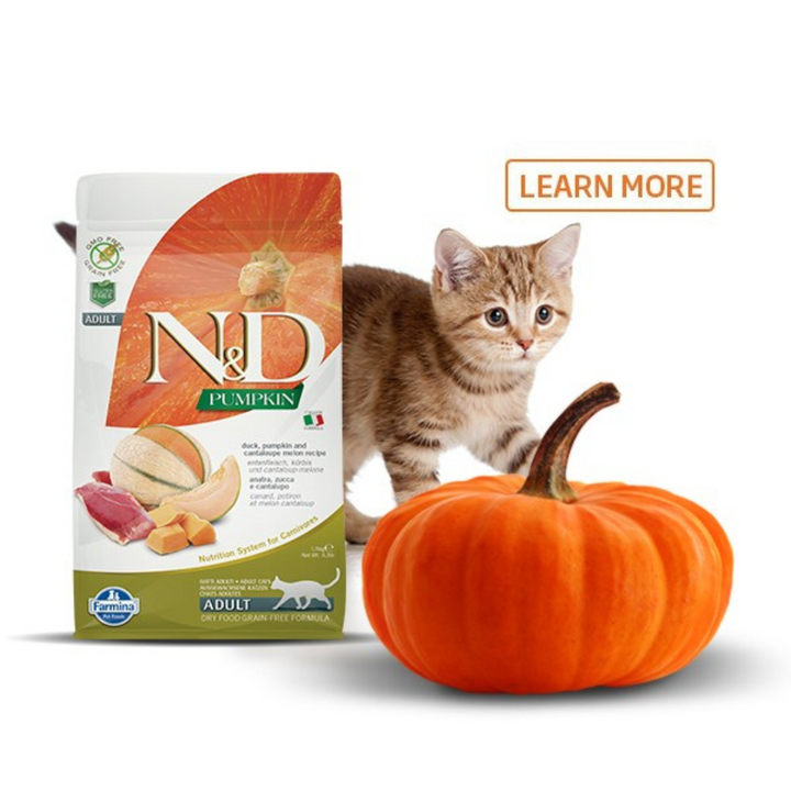 Farmina  N&D Pumpkin Cat Dry Food | Kanu Pet