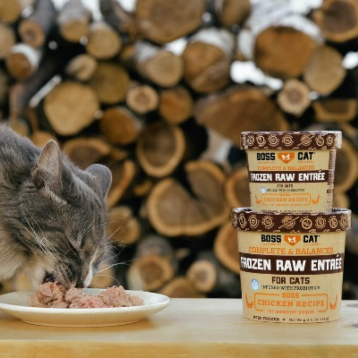 Boss Cat Frozen Raw Entree Chicken Cat Food | Kanu Pet