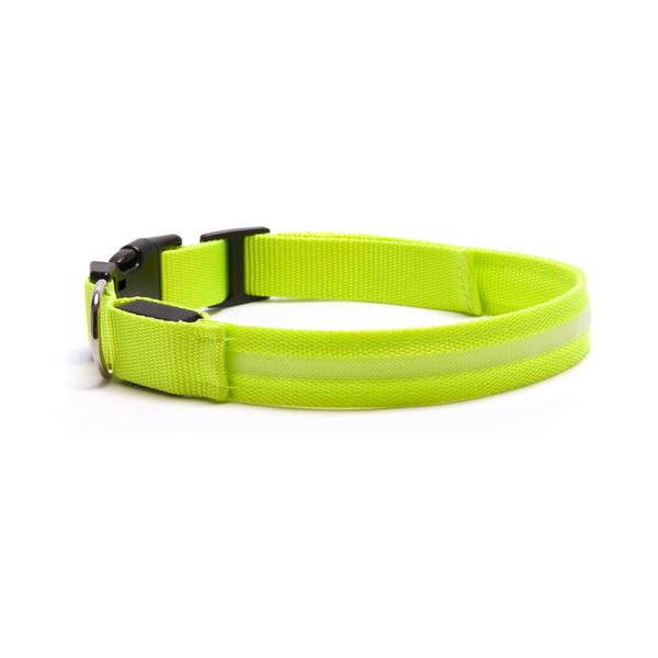 Furhaven LED Safety Light-Up Green Dog Collar | Kanu Pet