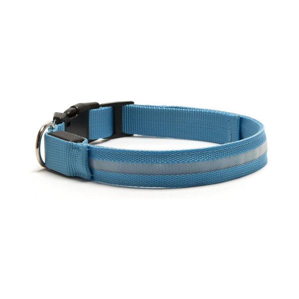 Furhaven LED Safety Light-Up Blue Dog Collar | Kanu Pet
