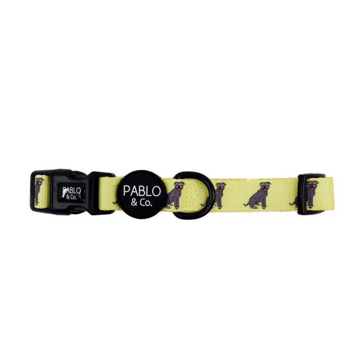 Pablo & Co. Staffy Dog Collar | Kanu Pet