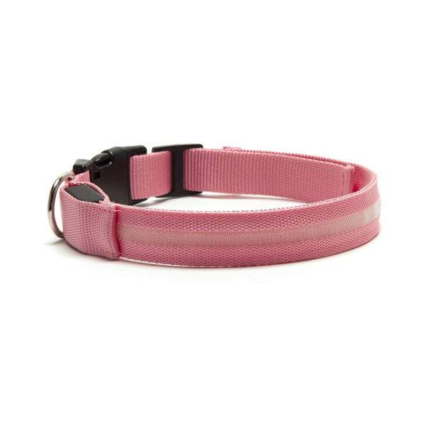 Furhaven LED Safety Light-Up Pink Dog Collar | Kanu Pet