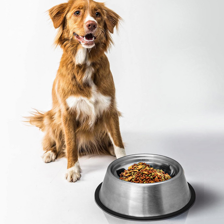 Indipets Stainless Steel No-Tip Dog Bowl | Kanu Pet