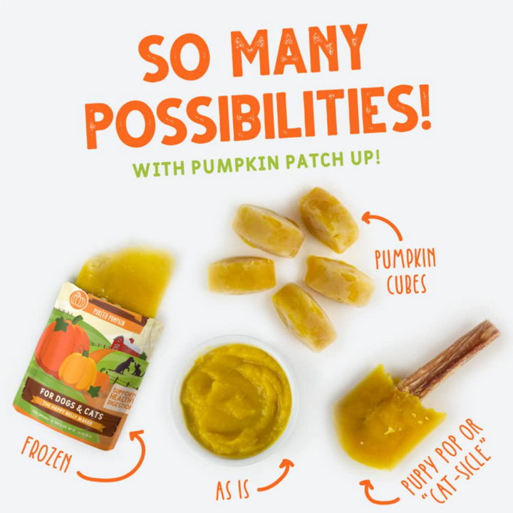 Weruva Pumpkin Patch Up!, Supplement Pouches Dog & Cat Food | Kanu Pet