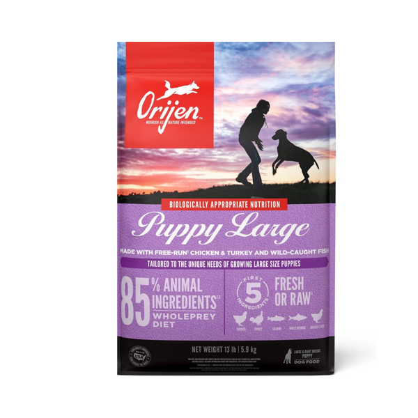 Orijen Puppy Large Graine  Dry Food | Kanu Pet