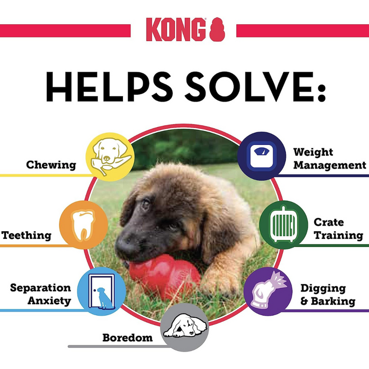 Kong  Classic Red Dog toy | Kanu Pet