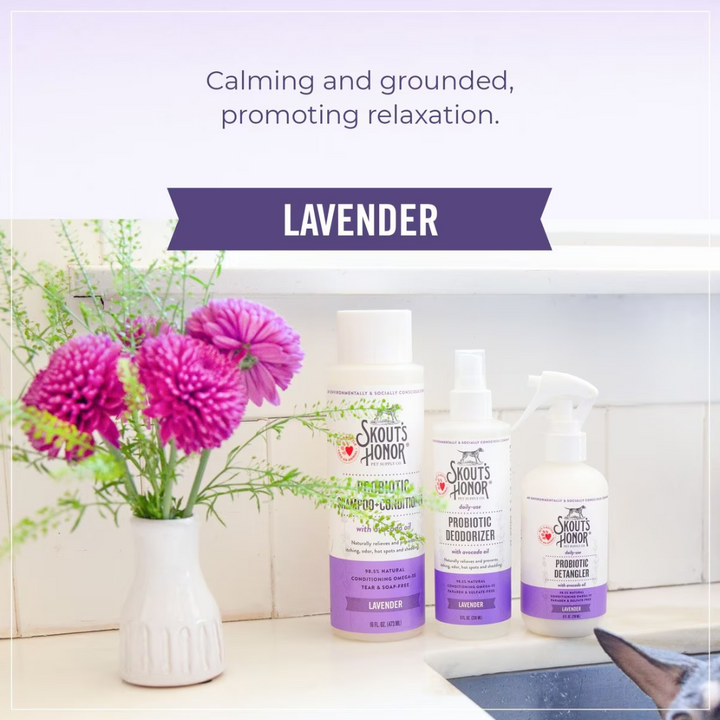 Skout's Honor Probiotic Daily Detangler Lavender Dog Spray | Kanu Pet