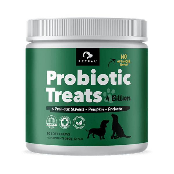 Petpal Probiotic 4 Billion Soft Chew Treats Dogs Supplement | Kanu Pet