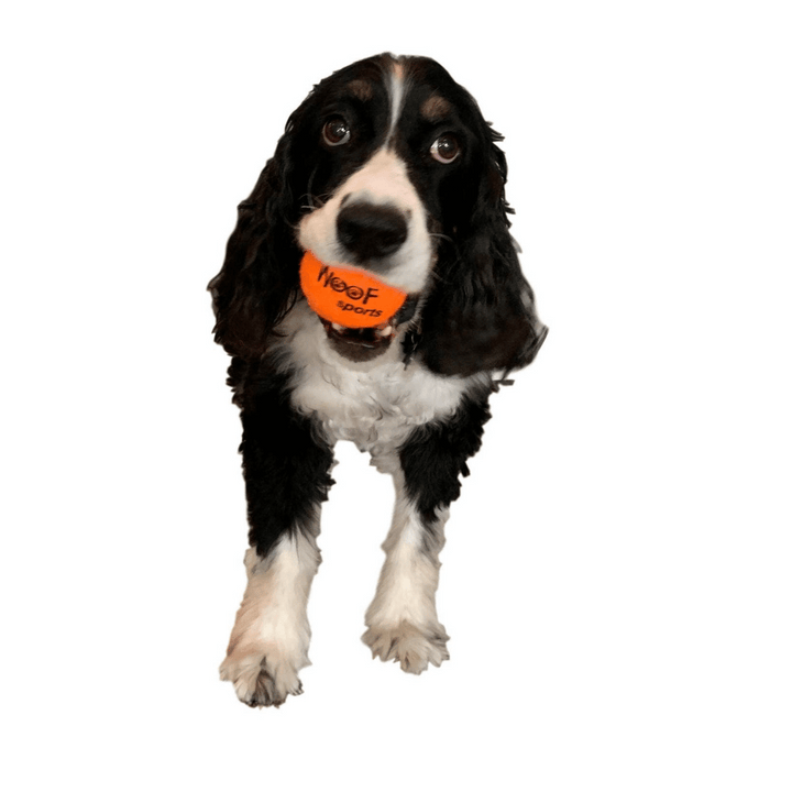 Woof Sports Tennis Balls Dog Toy | Kanu Pet