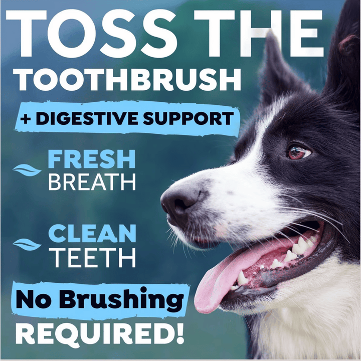 Tropiclean Fresh Breath Digestive Support Dog Water Additive | Kanu Pet