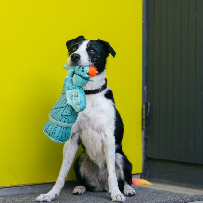 Pet Play Totally Touristy - Lady Liberty Dog Toy | Kanu Pet