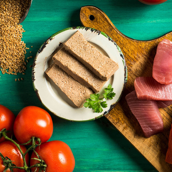 Fromm 4 Star Grain Free Salmon & Tuna Pate Cat Food 5.5 oz| Kanu Pet