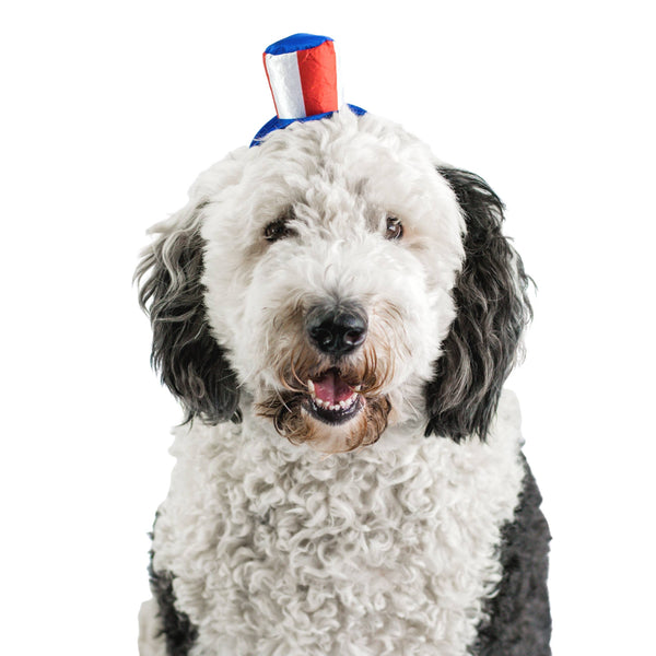 Midlee Uncle Sam 4th of July Hat for Large Dogs Headband