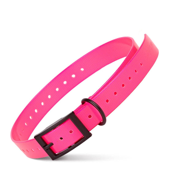 Dogline Biothane Dog Waterproof Collar Pink Supplies | Kanu Pets