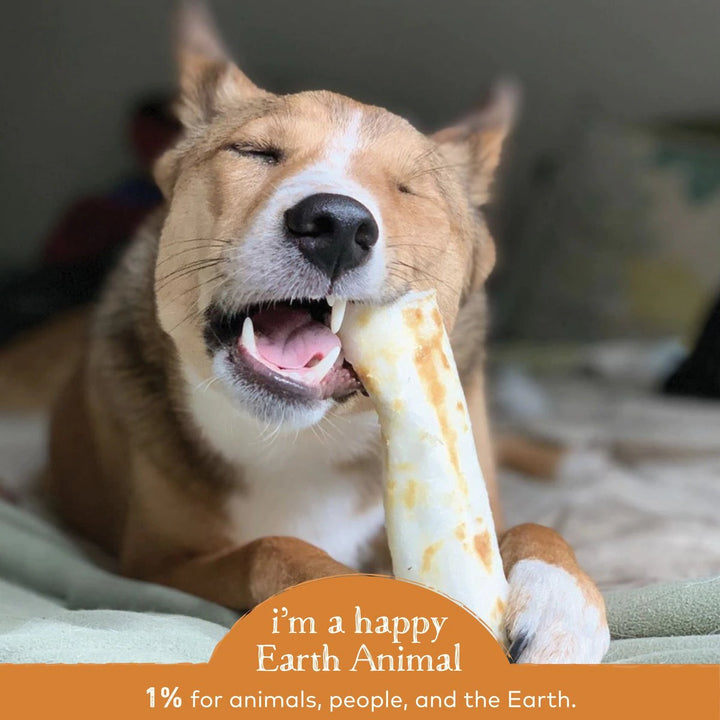 Earth Animal Chicken No-Hide Wholesome Dog Chews | Kanu Pet