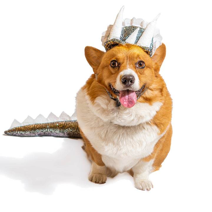 Midlee Designs Dinosaur Headband with Tail Dog Costume | Kanu Pets