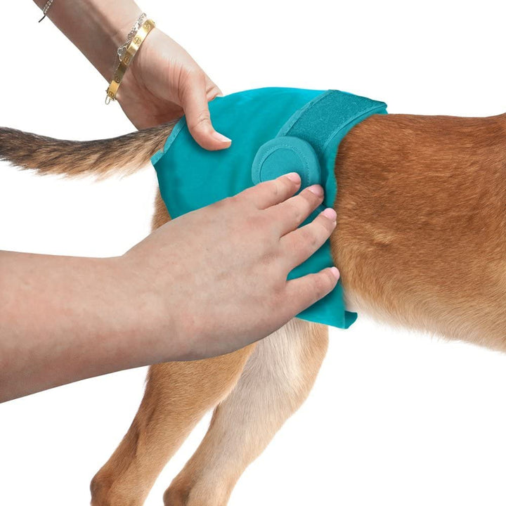 Simple Solution Washable Female Dog Diaper Small