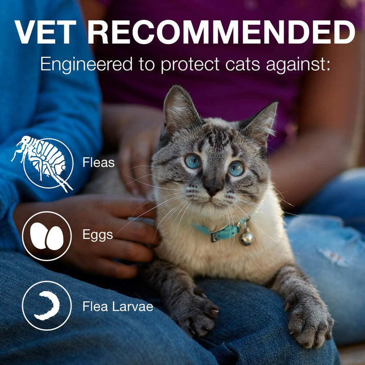 Advantage II 5-9 LBS Cat Flea Prevention & Treatment